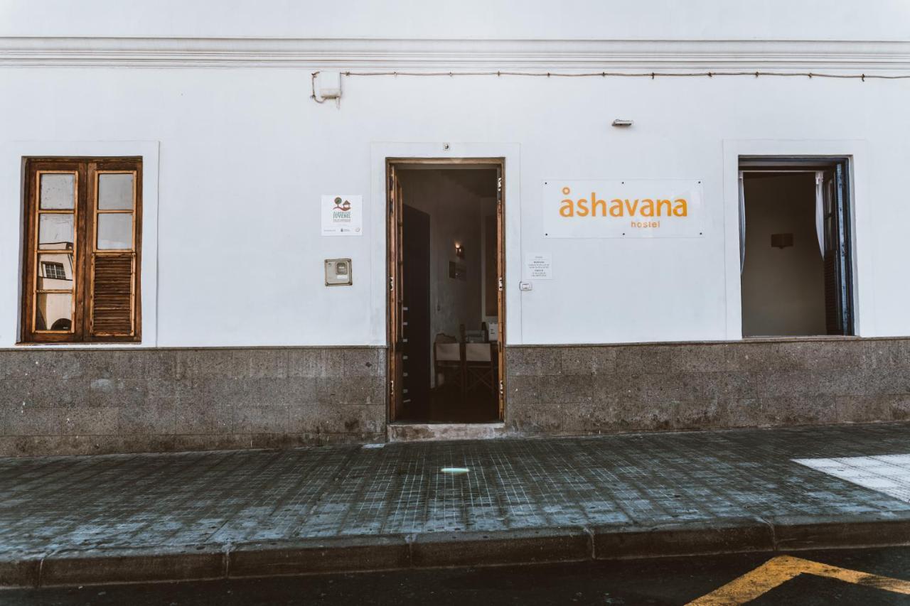 Ashavana Nest Hostel El Médano Kültér fotó